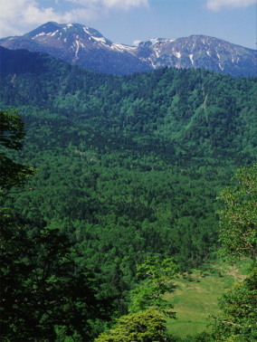 nat0022.jpg