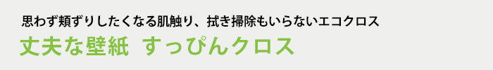 丈夫な壁紙  すっぴんクロス